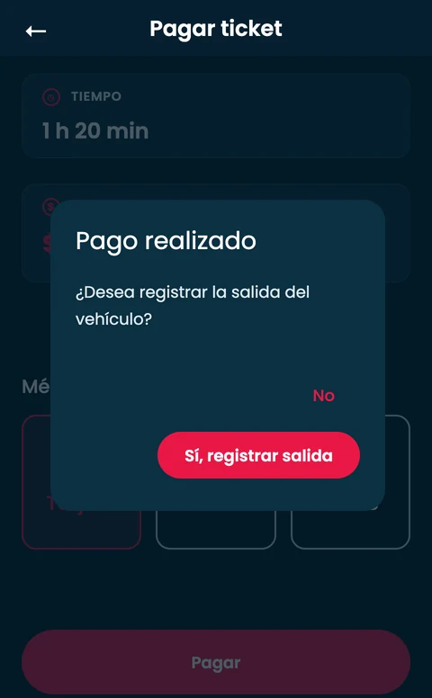 Pantalla ilustrativa con datos ficticios: pago realizado y opción de registrar la salida del vehículo.
